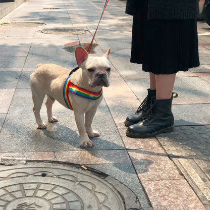 Rainbow Cool Dog Chain Leash - Nylon T-Type Chest Strap for Small to Medium Dogs