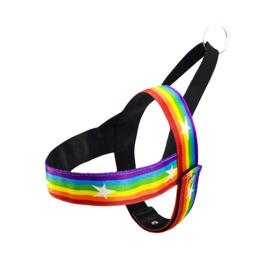 Rainbow Cool Dog Chain Leash - Nylon T-Type Chest Strap for Small to Medium Dogs